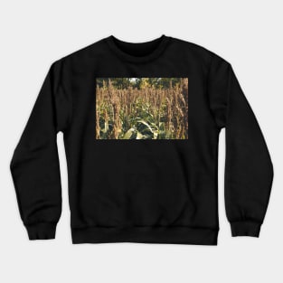 Through the Grain Crewneck Sweatshirt